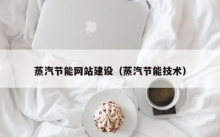 黑龙江蒸汽节能网站建设（蒸汽节能技术）